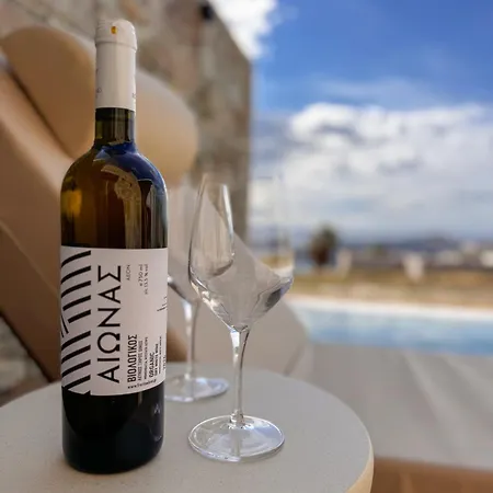 Διαμέρισμα Thea Syros *
